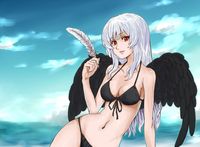 rozen maiden hentai albums more hentai swimsuit part beach bikini rozen maiden suigintou wings categorized galleries